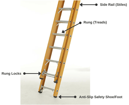Ladder.png