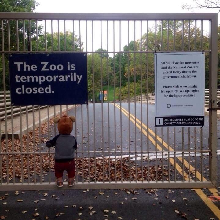 1zooisclosed