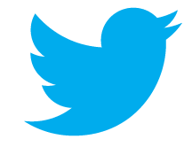 twitter bird blue on white