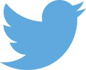 twitter-logo-2