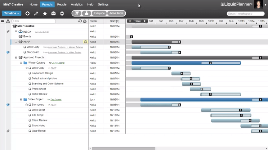 liquid-planner-projects