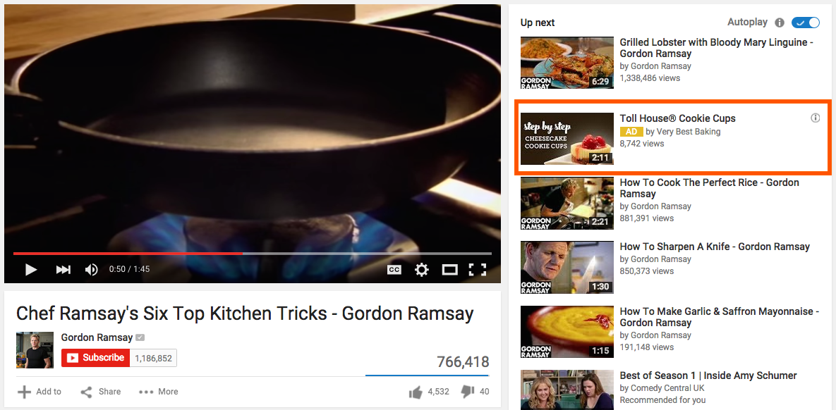 TrueView In-Display ad in YouTube's related videos sidebar