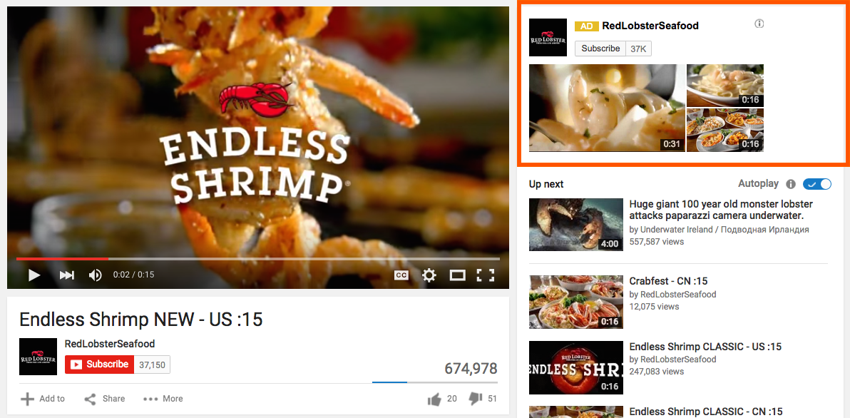 TrueView video ad companion banner