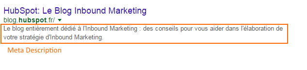 exemple de meta description dans les résultats de recherche Google
