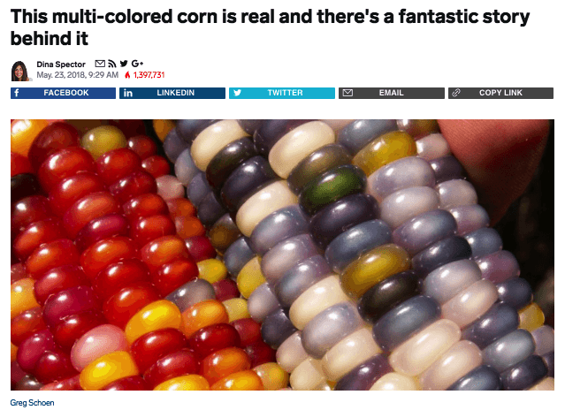 Native advertising example in Business Insider about Glass Gem Corn