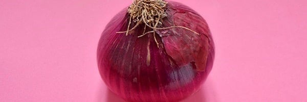 onion-writing-advice (1).jpg