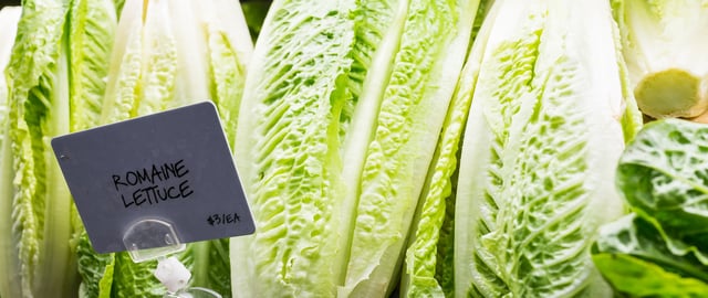 Romaine lettuce on a supermarket shelf. Link takes you to CDC advisory page. 