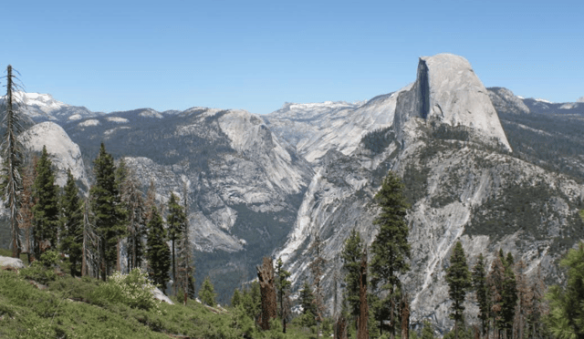 Half Dome rock formation and surrounding forest at Yosemite National Park