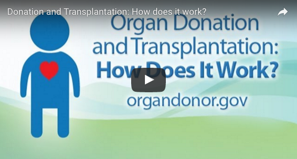 Screen_Shot_2016-03-30_at_2.25.37_PM.png Screen_Shot_2016-03-30_at_2.25.37_PM.png