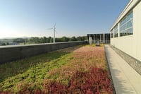 A rooftop garden is shown on top of a building. The link takes you to ASLA's page of green roofs.