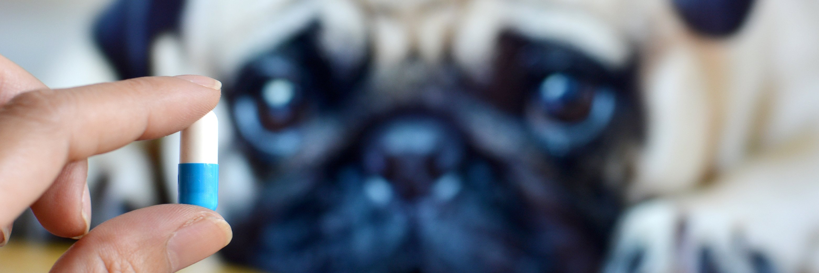20190814_VP social media-46