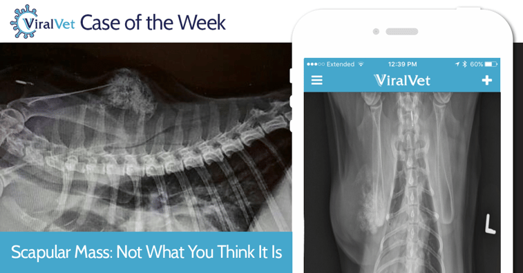 VV-CaseoftheWeek-Wk17.png