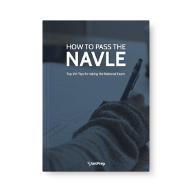 VP-AUG2019-thumbnail