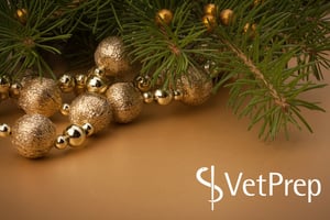 VP-festive