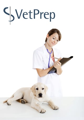 VP-labpuppy.jpg