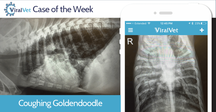 VV-CaseoftheWeek-Wk14.png