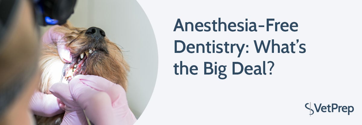 dentistry