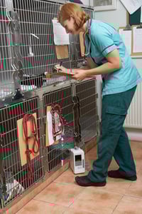 studentcheckingvitals