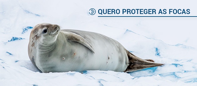 Quero proteger as focas