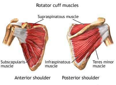 Physical Therapy for Rotator Cuff