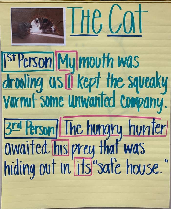 Teaching Point of View