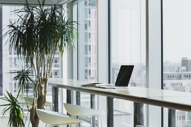 Biophilic design: Bringing the outside into your office