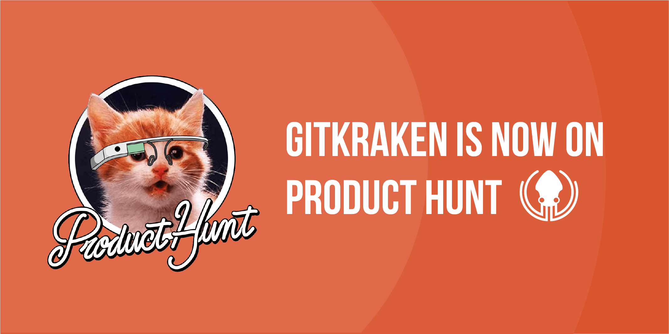 product hunt cat