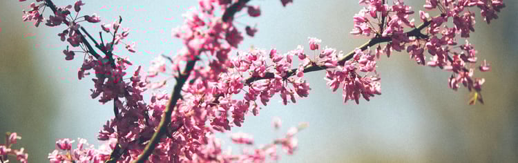 ondernemer draag zorg voor het milieu