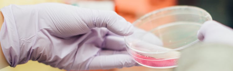 vooroordelen vaccinaties