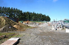 Cheal A-Site expansion