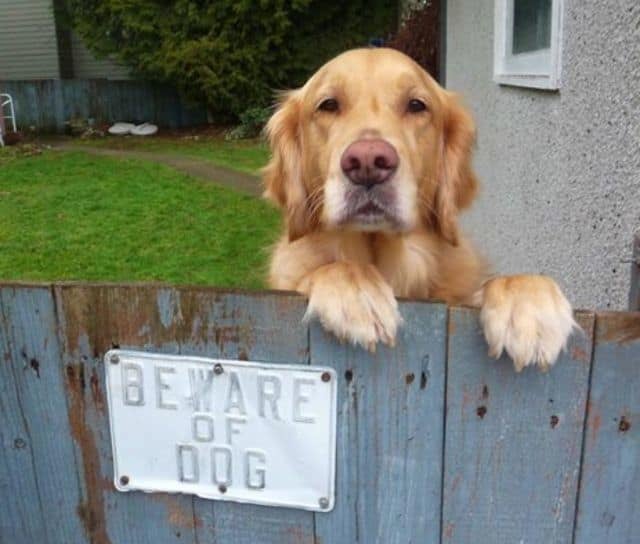 Five Home Security Myths