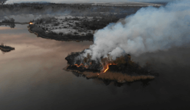 Chernobyl wildfire extinguished with the help of drones