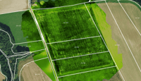 Multispectral Drones Streamline Assessments of Assieu Rapeseed Crops