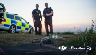 LAW EN featured image