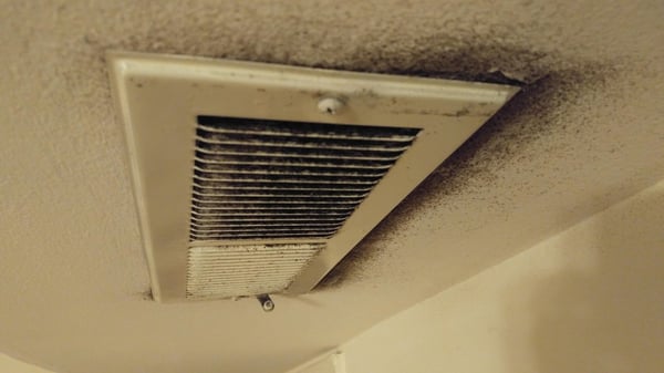 black-mold-air-vent