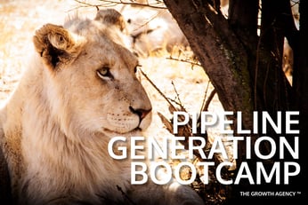 Hubspot Agency Partner Pipeline Generation Bootcamp