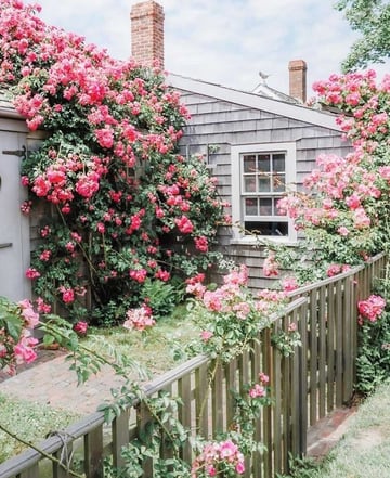 1 cottage