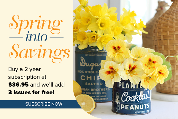 Spring Into Savings 