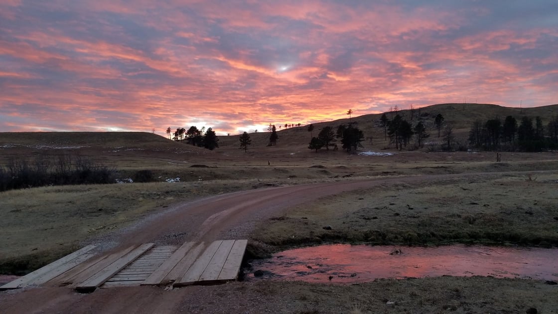 Wind Cave National Park: Above and Below
