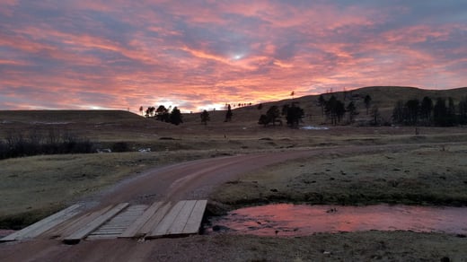 Wind Cave National Park: Above and Below