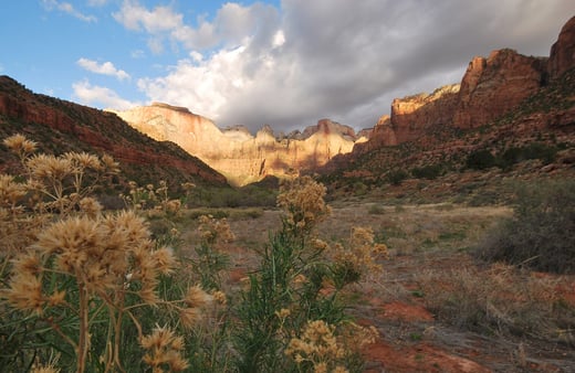 The Most (and Least) Visited National Parks