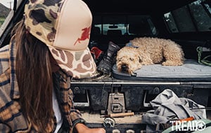 The Latest Products For Your Adventure Pet