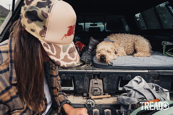 Paw-some Adventure Gear for Pets