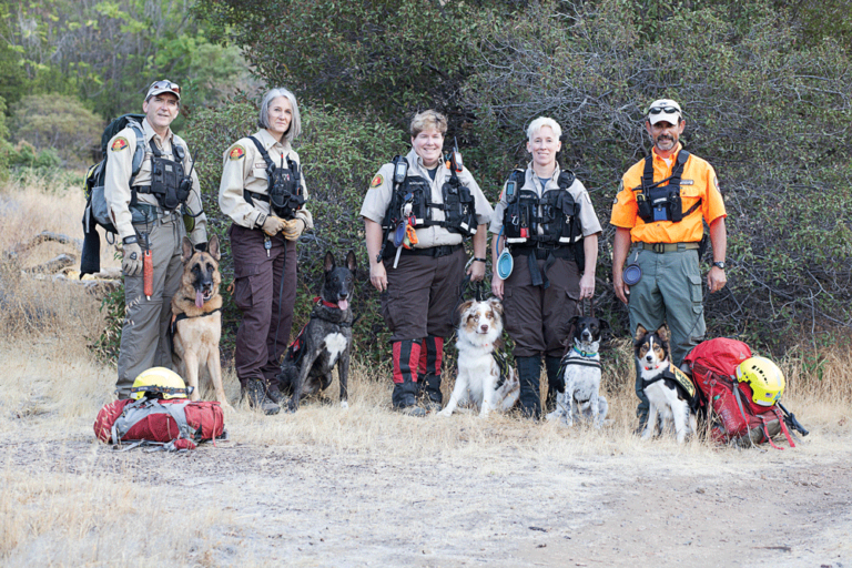 4-Legged Heroes: The K-9 Rescue Squad