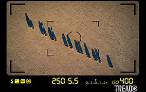 Birds-eye-001-1