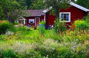 Meadow-Garden-steps