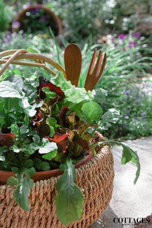 cb-garden-2-15web