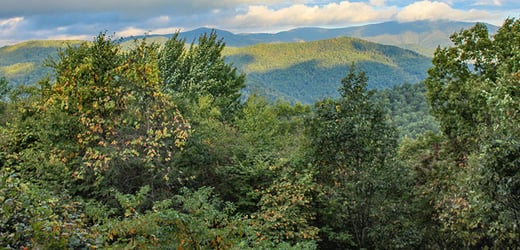 Great Smoky Mountains National Park