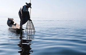 How To Build a Primitive Fish Basket Trap