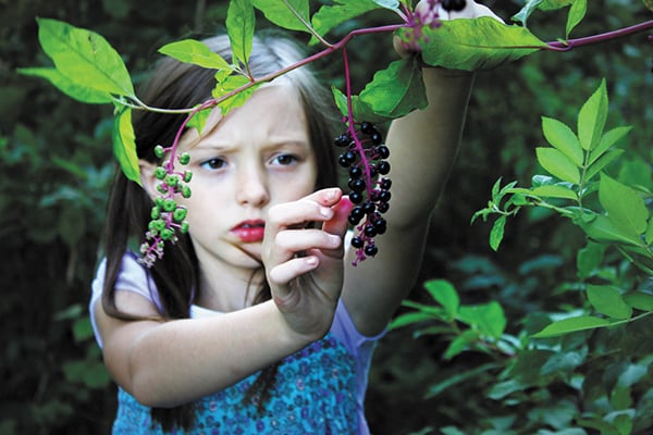 Avoid Poisonous Plants